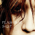 FLASH1.JPG